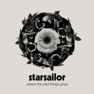 Starsailor - Where The Wild Things Grow (2024, Hi-Res) FLAC скачать торрент