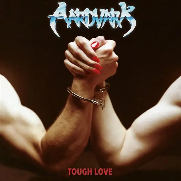 Aardvark - Tough Love (2024, Hi-Res) FLAC скачать торрент