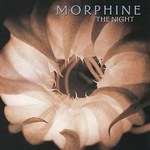 Morphine - The Night (Limited edition, Reissue, Remastered) (2000/2023, LP) DSD 128 скачать торрент