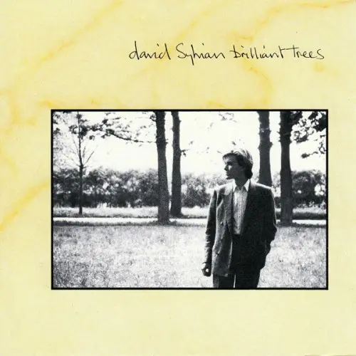 David Sylvian ‎– Brilliant Trees 1984