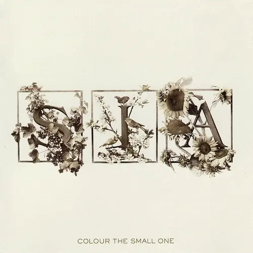 Sia / Colour The Small One 2004