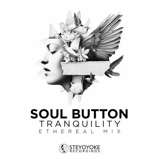 Soul Button - Tranquility: Ethereal Techno (DJ Mix) (2024, WEB) FLAC скачать торрент