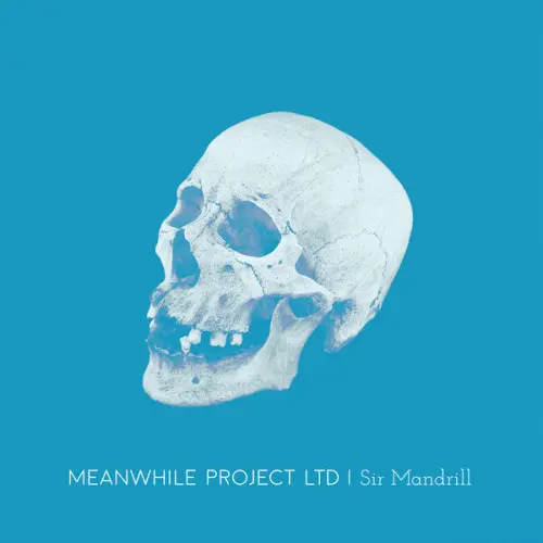 Meanwhile Project Ltd - Sir Mandrill (2024, WEB) FLAC скачать торрент