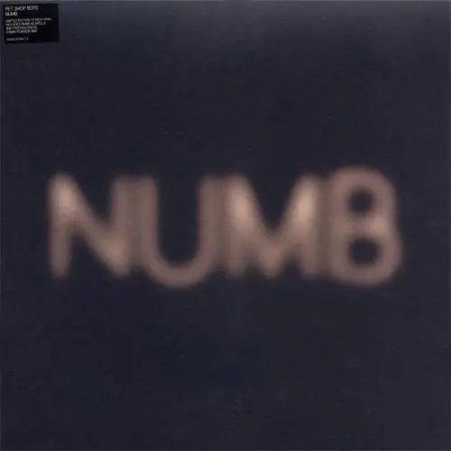 Pet Shop Boys - Numb 2006