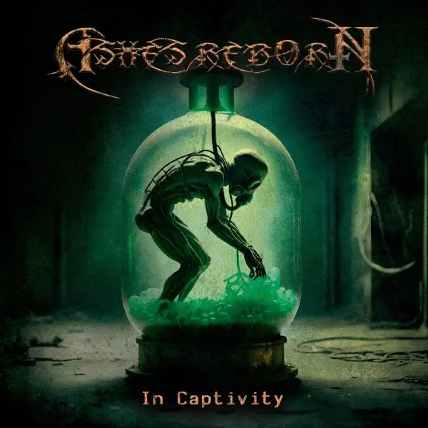 Ashes Reborn - In Captivity (2024, WEB) FLAC скачать торрент