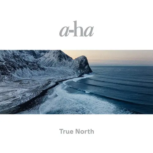 a-ha - True North (2022, LP) DFF скачать торрент