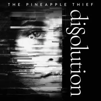 The Pineapple Thief - Dissolution (2018, LP) FLAC скачать торрент