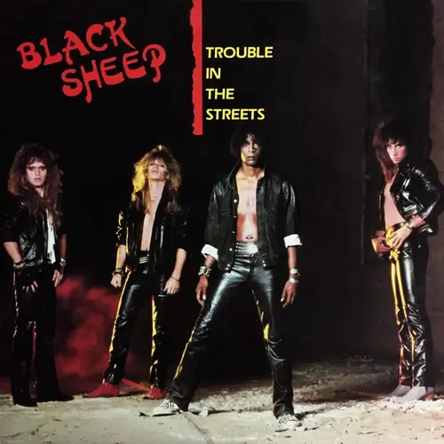 Black Sheep - Trouble in the Streets (1985, LP) FLAC скачать торрент