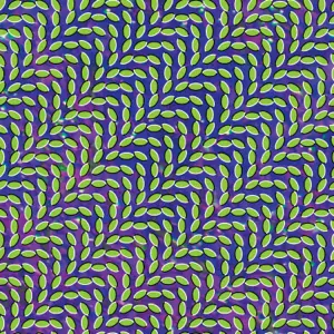 Animal Collective - Merriweather Post Pavilion  2009