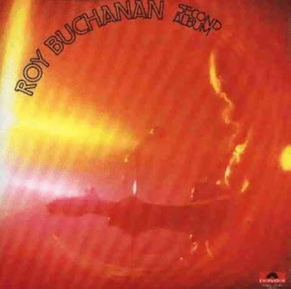 Roy Buchanan / Second Album 1973