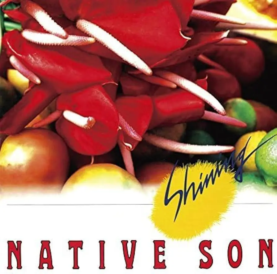 Native Son - Shining 1985