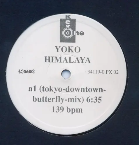 Yoko – Himalaya 1994
