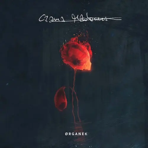 Organek (Ørganek) - Czarna Madonna 2016