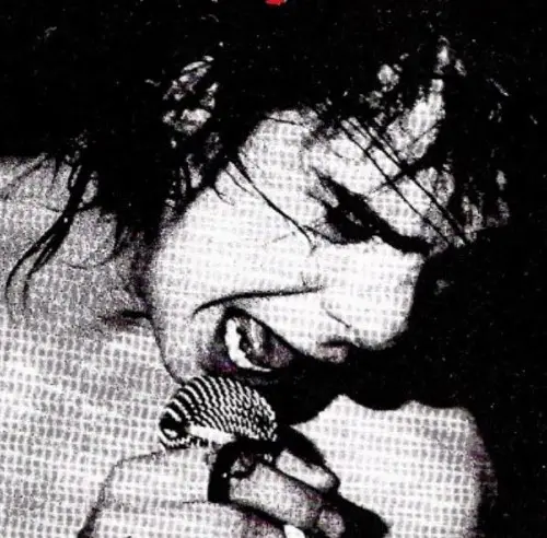 Nick Cave - Vinyl - 1979-2017