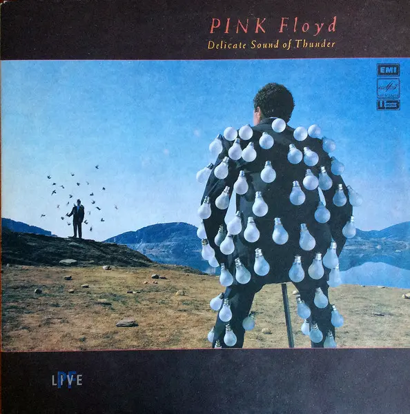 Pink floyd - Delicate sound of thunder - 1989